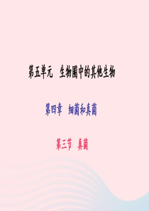 八年级生物上册 第五单元 第四章 第三节 真菌习题课件 （新版）新人教版