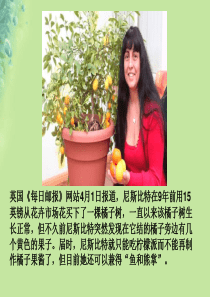 八年级生物上册 第四单元 第一章 第七节 植物的无性生殖课件 （新版）济南版