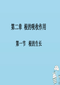 八年级生物上册 第三单元 第二章 第一节 根的生长课件 （新版）冀教版