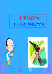 八年级生物上册 16.1《先天性行为和后天学习行为》课件2 （新版）北师大版