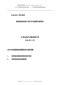 舞阳某商业地产项目开发前期可研报告