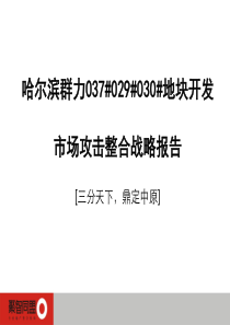 哈尔滨群力地块开发市场攻击整合战略报告_108页