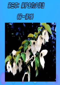 八年级生物上册 6.3《保护生物的多样性》课件3 （新版）新人教版