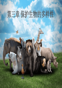 八年级生物上册 6.3《保护生物的多样性》课件1 （新版）新人教版