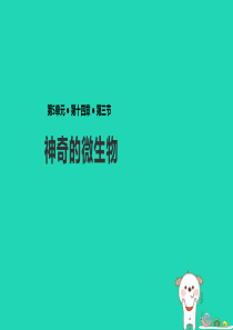 八年级生物上册 5.14.3《神奇的微生物》课件 （新版）苏教版