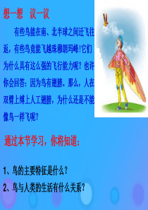 八年级生物上册 5.1.6《鸟》课件3 （新版）新人教版