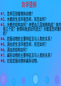 八年级生物上册 5.1.1《腔肠动物和扁形动物》课件5 （新版）新人教版