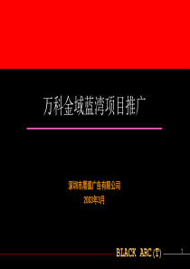 万科金域蓝湾项目推广_房地产策划案