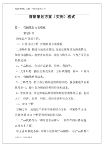 营销策划方案（实例）格式