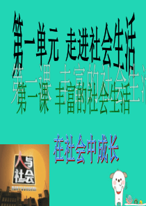 八年级道德与法治上册 第一单元 走进社会生活 第一课 丰富的社会生活 第2框 在社会中成长课件2 新