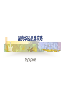 国典华园品牌策略