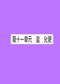 安徽省2019年中考化学总复习 第十一单元 盐 化肥课件