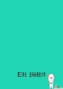 安徽省2019年中考道德与法治一轮复习 九下 第三单元 走向未来的少年课件