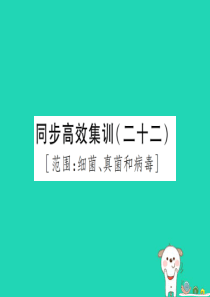 PK中考（江西专用）2019中考生物 同步高效集训（二十二）课件