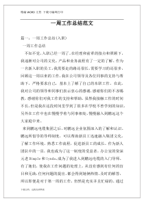 一周工作总结范文