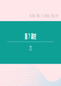 2020年中考物理 第7课时《力》复习课件