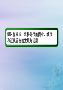 2021高考历史大一轮复习 课时作业19 农耕时代的商业、城市和近代前夜的发展与迟滞课件 岳麓版