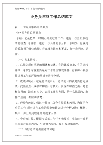 业务员年终工作总结范文
