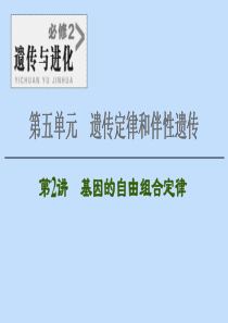 2021版高考生物一轮复习 第5单元 遗传定律和伴性遗传 第2讲 基因的自由组合定律课件 苏教版必修