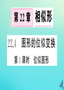 2020秋九年级数学上册 第22章 相似形 22.4 图形的位似变换 第1课时 位似图形作业课件 （
