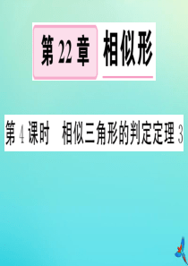 2020秋九年级数学上册 第22章 相似形 22.2 相似三角形的判定 第4课时 相似三角形的判定定