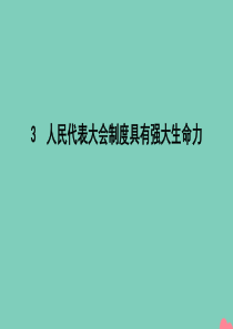 2020年春高中政治 专题四 民主集中制 我国人民代表大会制度的组织和活动原则 3 人民代表大会制度