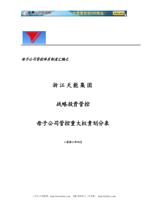 天能集团母子管控战略投资重大权责划分表