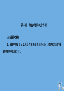 2020届高考生物艺考生大二轮总复习 上篇 专题二 细胞的代谢 第4讲 细胞呼吸与光合作用课件