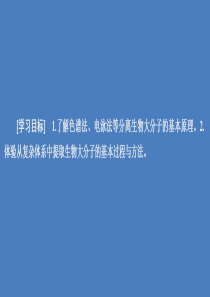 2020高中生物 专题5 DNA和蛋白质技术 课题3 血红蛋白的提取和分离课件 新人教版选修1