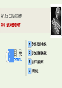 2020高考生物大一轮复习 第八单元 第2讲 通过神经系统的调节课件 新人教版