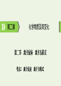 2020高考化学大一轮复习 第二章 化学物质及其变化 第2节 考点2 离子反应 离子方程式课件