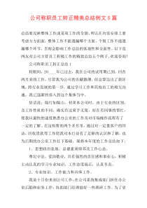 公司称职员工转正精美总结例文5篇