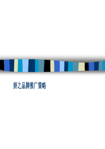 妍之品牌推广策略