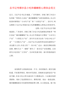 总书记考察沙县小吃和螺蛳粉心得体会范文