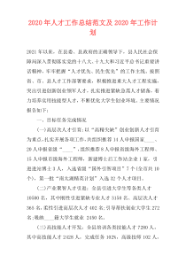 2020年人才工作总结范文及2020年工作计划