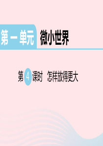 2020春六年级科学下册 第一单元 微小世界 4怎样放得更大习题课件 教科版