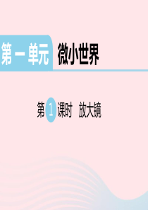 2020春六年级科学下册 第一单元 微小世界 1放大镜习题课件 教科版