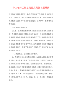 个人年终工作总结范文范例5篇最新