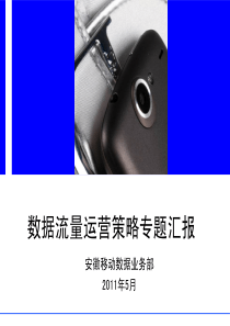 安徽移动数据流量运营策略专题报告