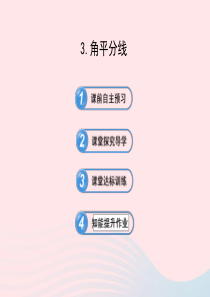 2020春八年级数学下册 第19章 全等三角形 19.4逆命题与逆定理 3角平分线习题课件 华东师大