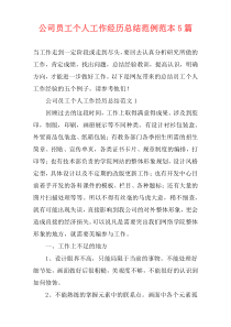 公司员工个人工作经历总结范例范本5篇