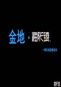 金地-深圳金地梅拢镇花园房地产项目价格策略报告105PPT-5M