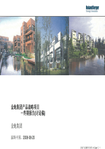 金地产品战略项目报告v2