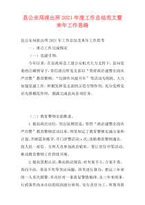 县公安局派出所2021年度工作总结范文暨来年工作思路