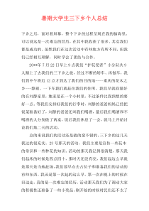 暑期大学生三下乡个人总结