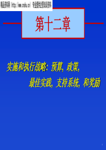 实施和执行战略(第十二章)