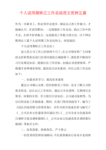 个人试用期转正工作总结范文范例五篇