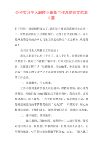 公司实习生入职转正最新工作总结范文范本5篇