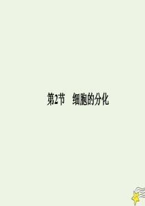 2020版高中生物 第六章 细胞的生命历程 2 细胞的分化课件 新人教版必修1