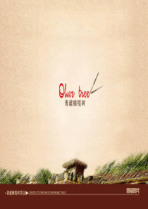 山东高密青建橄榄树项目推广策略方案_167PPT_XXXX年